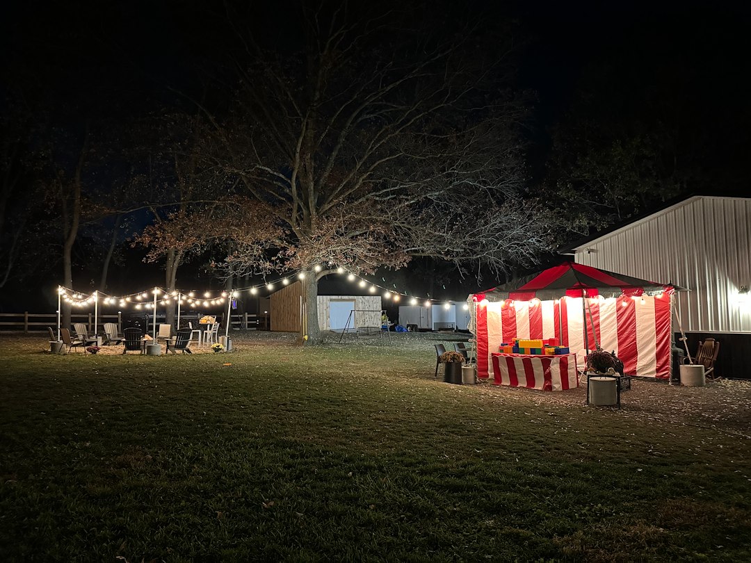 Carnival Themed Birthday Party in White Marsh, Maryland